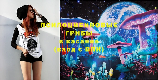 spice Приозерск