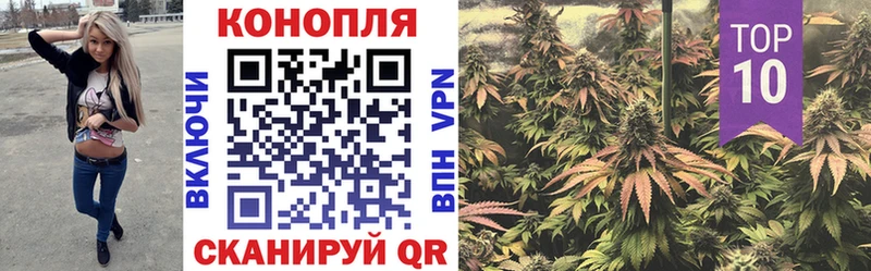 blacksprut ТОР  Щёкино  shop как зайти  Бошки Шишки THC 21% 